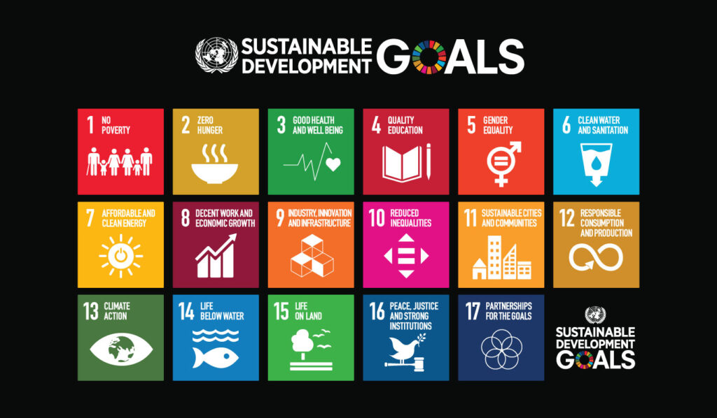 17 un sustainable development goals
